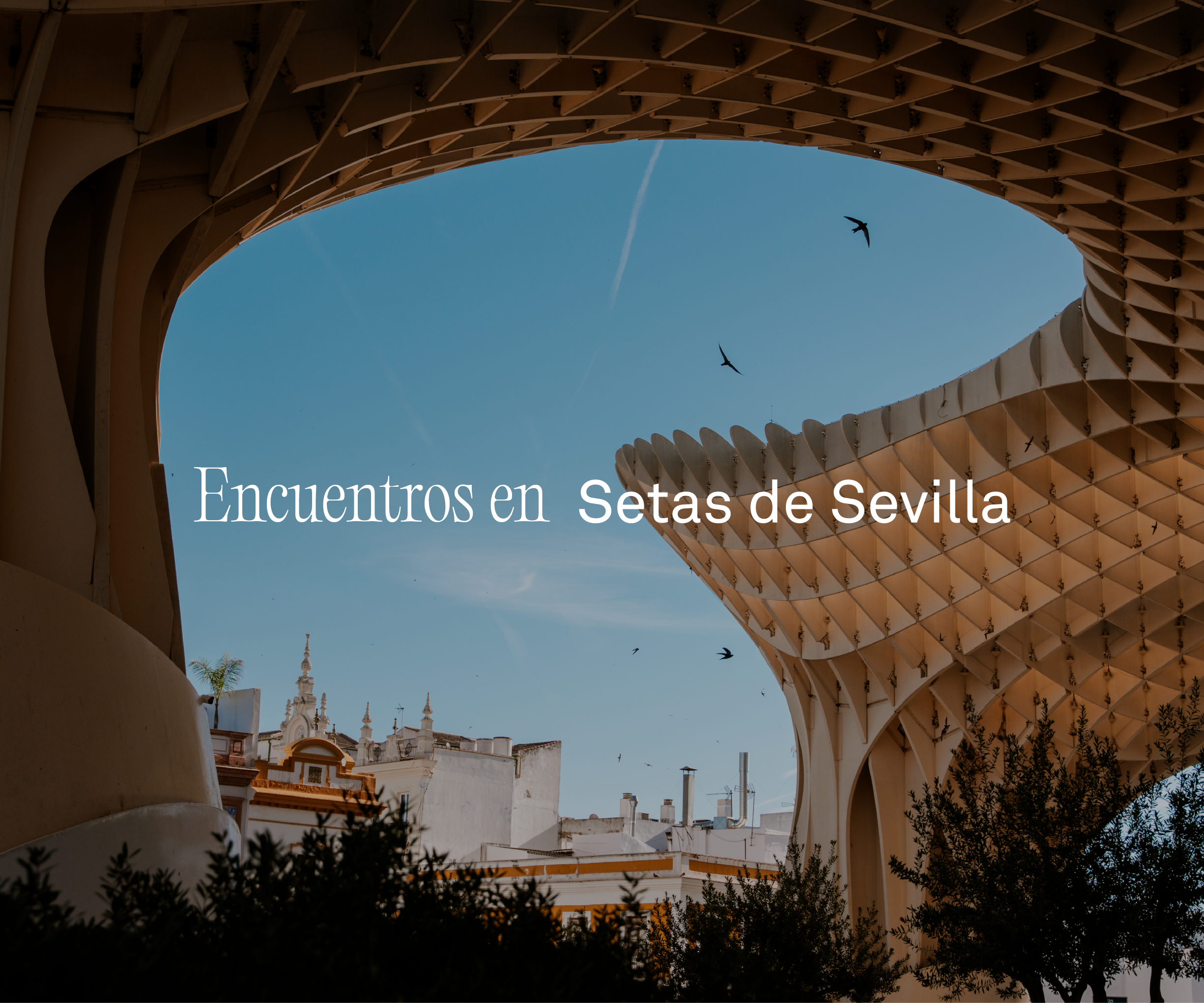 Encuentros en Setas de Sevilla
