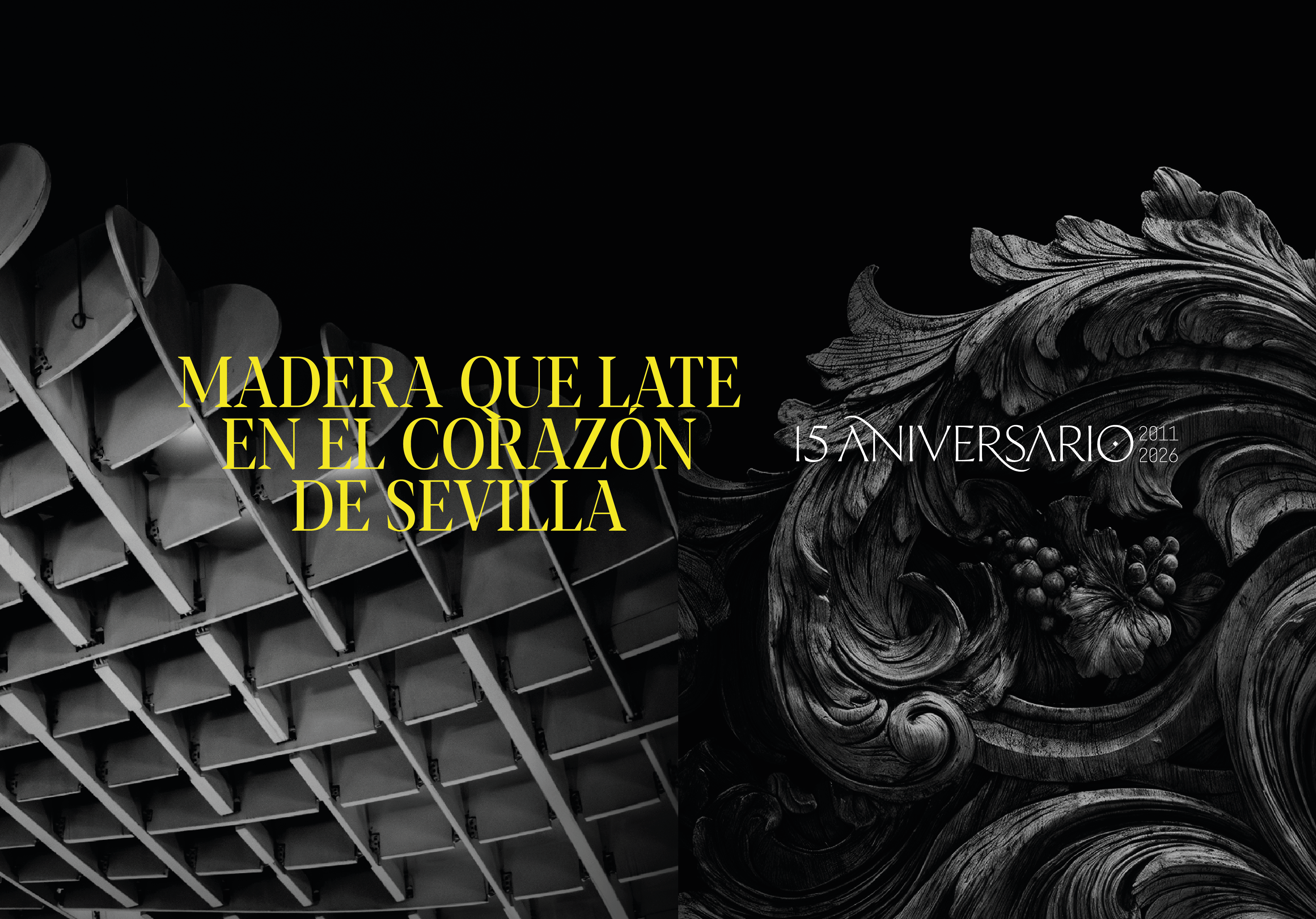 Campaña 15 Aniversario